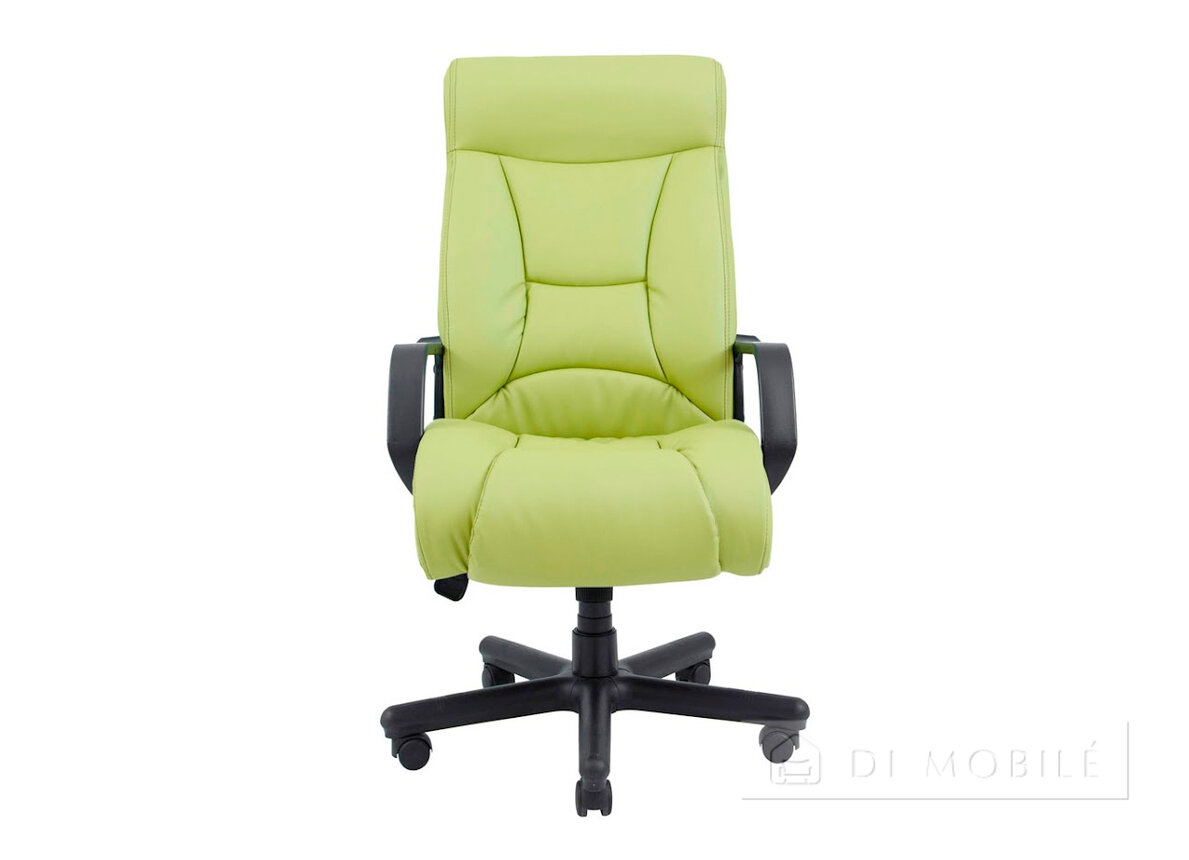 Fotoliu „Magistru”, configurație cu elemente din plastic