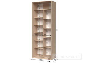 Шкаф-купе двухдверный "E-Line" ШК.1.2 1000 мм с полками