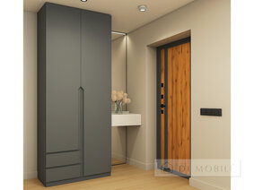 Cabinet pliant "Shr-3" 1000 mm