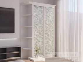 Шкаф купе "Рим-Венециано" 1100 мм 2-дверный серия WT