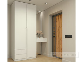 Cabinet pliant "Shr-3" 1000 mm