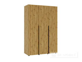 Cabinetul 3D_T "Solo"