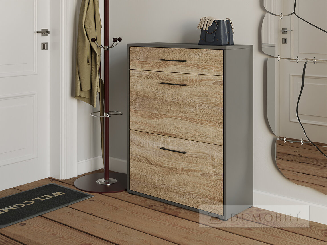 Cabinet pentru pantofi T-207