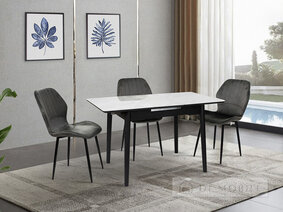 Стол обеденный раскладной "Нептун"