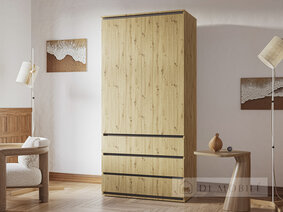 Шкаф "Идея Комби"