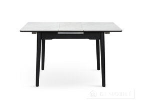 Стол обеденный раскладной "Нептун"