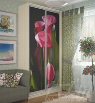 Garderoba "Premiu" 1200 mm cu 2 uşi
