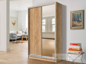 Шкаф-купе двухдверный "E-Line" ШК.1.1 1000 мм с полками, штангой/микролифт