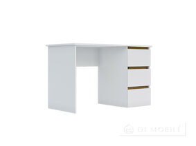 Стол письменный 3Ш "Идея"