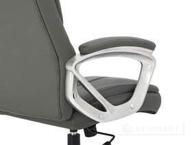 Scaunul capului de gri "Seltic" piele