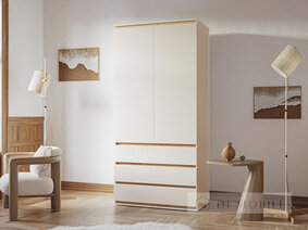 Шкаф "Идея Комби"