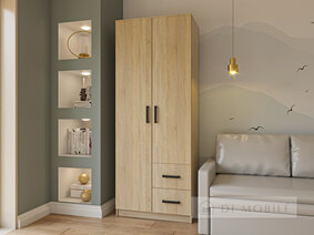Шкаф 2Д 2Ш "Симпл"