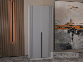 Шкаф "АРС" 2Д