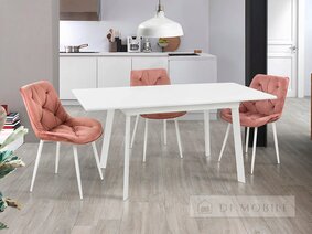 Стол обеденный "Этна"