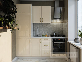 Модульная кухня "Элегант"