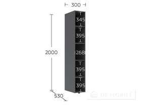 Consola deschide "Solo"