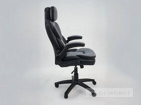 Scaun de calculator Alpharo