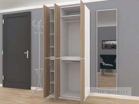 Cabinetul HOLD nr. 37