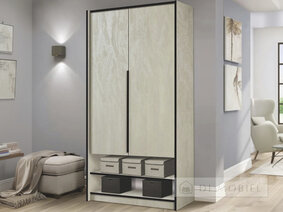 Шкаф 100 с нишей "Алекс"