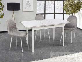 Стол обеденный раскладной "Нептун"