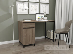 Computer Desk "Loft SPL-11"