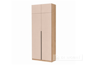 Cabinet pliant "Shr-2 ASH" 1000 mm