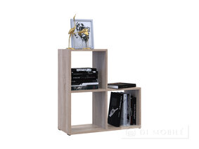 Steppe rafturi 2x2