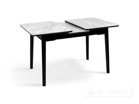 Стол обеденный раскладной "Нептун"