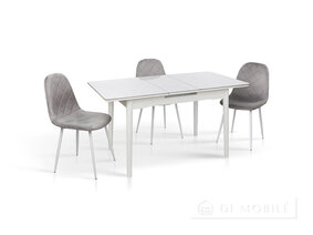 Стол обеденный раскладной "Нептун"