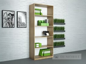 Шкаф для документов "ШД-1 Стандарт"