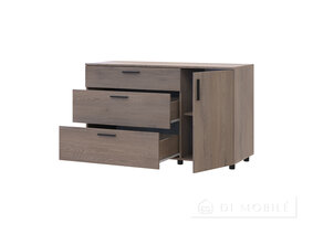 Rochie Thorn 3S/1D