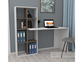 LEGA 37 Computer Desktop