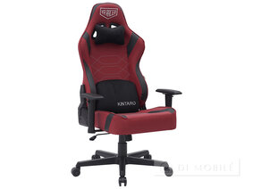 Scaun "VR Racer Expert Kintaro"