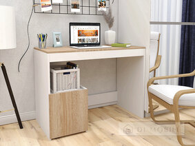 LEGA 61 computer desktop
