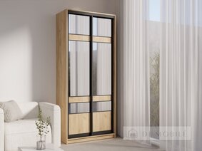 Шкаф-купе двухдверный "E-Line" ШК.1.1 900 мм с полками, штангой/микролифт