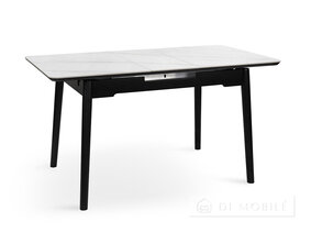 Стол обеденный раскладной "Нептун"