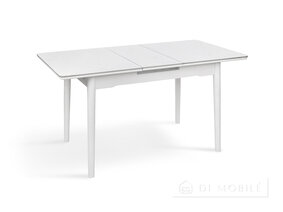 Стол обеденный раскладной "Нептун"