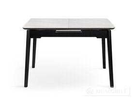 Стол обеденный раскладной "Нептун"