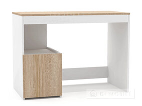 LEGA 61 computer desktop
