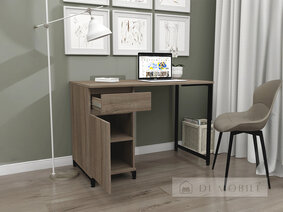 Computer Desk "Loft SPL-11"