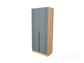 Шкаф "АРС" 2Д