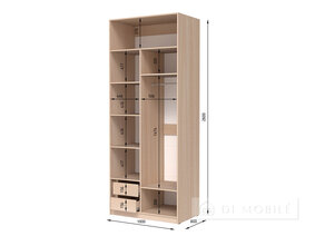 Cabinet pliant "Shr-2 ASH" 1000 mm