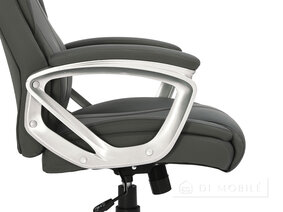 Scaunul capului de gri "Seltic" piele