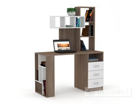 LEGA 22 Computer Desktop
