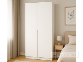 Распашной шкаф "ШР-2" 1000 мм