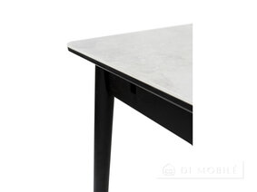 Стол обеденный раскладной "Нептун"